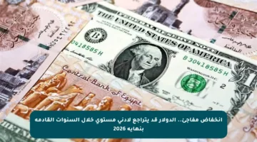 انخفاض مفاجئ.. الدولار قد يتراجع لأدنى مستوى خلال السنوات القادمة بنهاية 2026